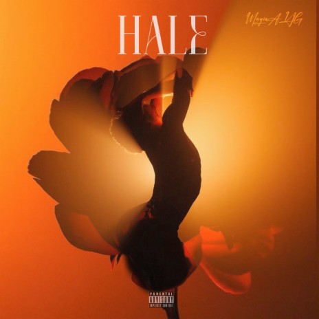 Hale | Boomplay Music