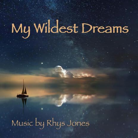 My Wildest Dreams | Boomplay Music