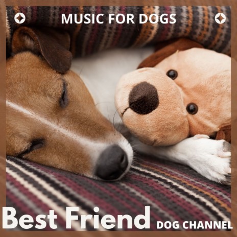 Emotional Piano Music for Dog