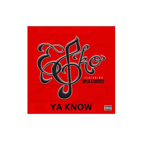 YA KNOW CLUB MIX | Boomplay Music