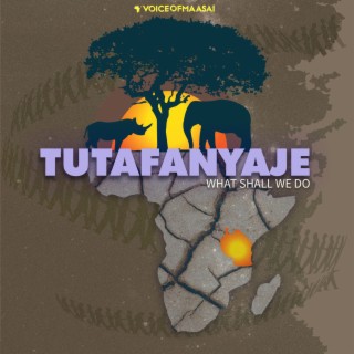 Tutafanyaje