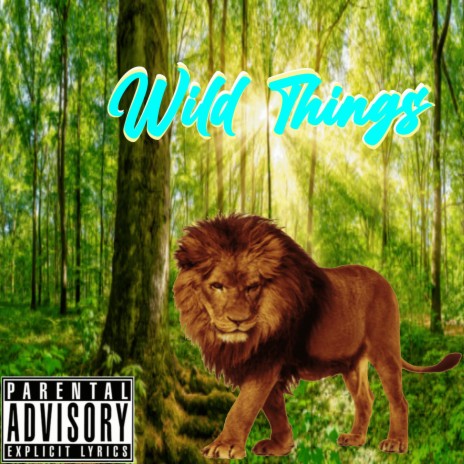 Wild Things | Boomplay Music