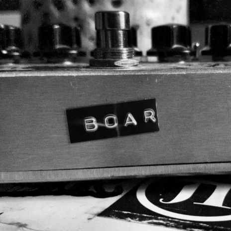 Boar | Boomplay Music