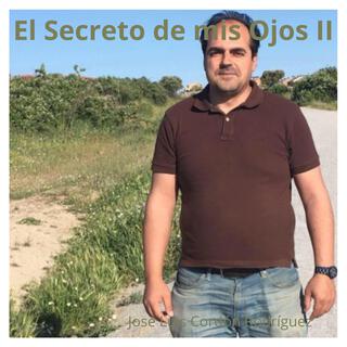 El Secreto de mis Ojos II