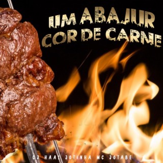 Um Abajur cor de carne Vrs Funk