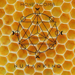 Honeycomb