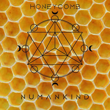 Honeycomb | Boomplay Music