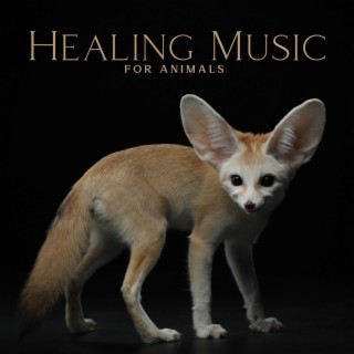 Healing Music for Animals: Reduce Anxiety, Reiki, Heal Pet's Trauma, Mental Health, Deep Comfort