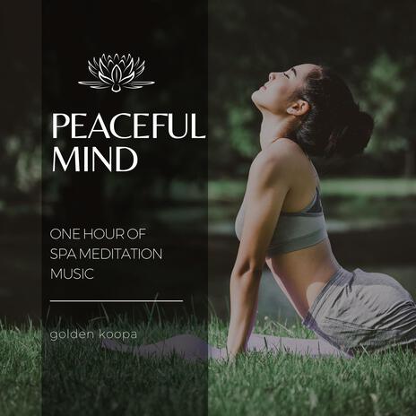 Peaceful Mind - One Hour of Spa Meditation Music | Boomplay Music