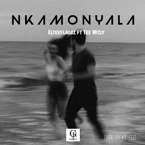 Nkamonyala ft. Tee Wizly | Boomplay Music