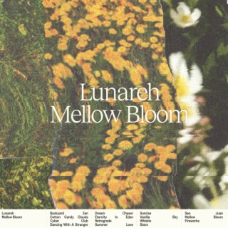 Mellow Bloom