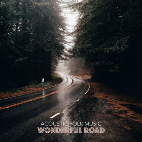 Wonderful Road | Boomplay Music