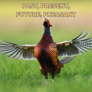 Past, Present, Future, Pheasant