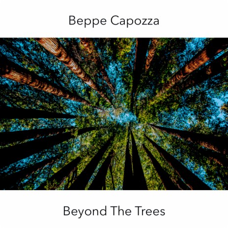 Beyond the Trees | Boomplay Music