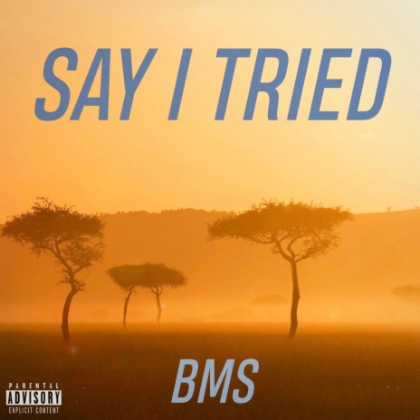 Say I Tried | Boomplay Music