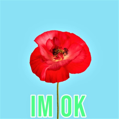 IM OK | Boomplay Music