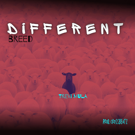 Different Breed | Boomplay Music