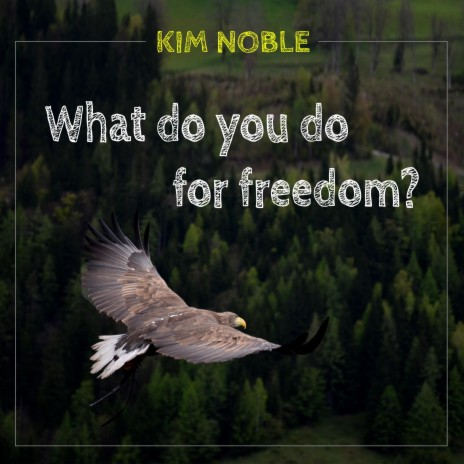 What do you do for freedom ft. Kim Noble | Boomplay Music