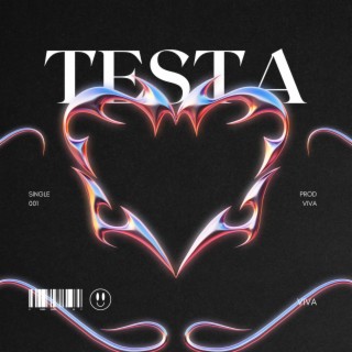 Testa lyrics | Boomplay Music