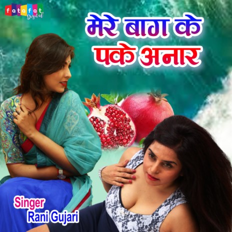 Mere Baag Ke Pake Anaar | Boomplay Music