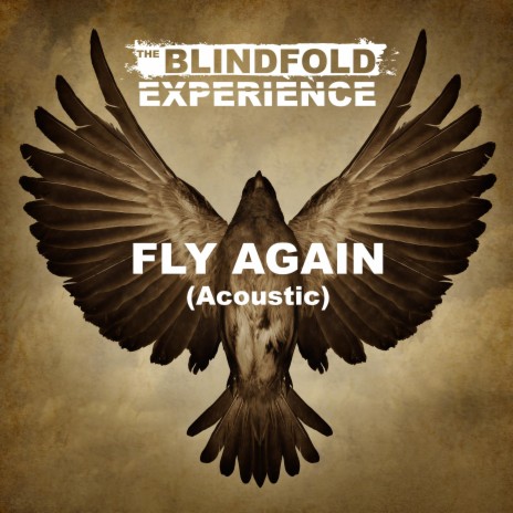 Fly Again (Acoustic) | Boomplay Music