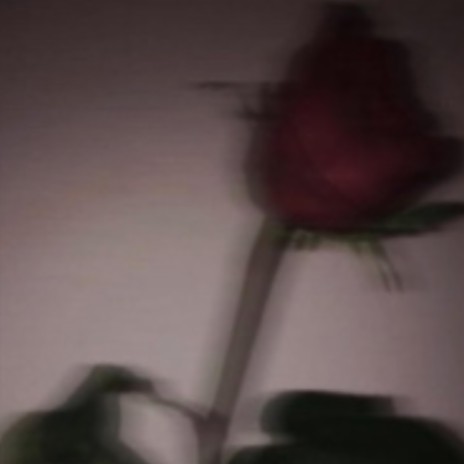 Rose | Boomplay Music