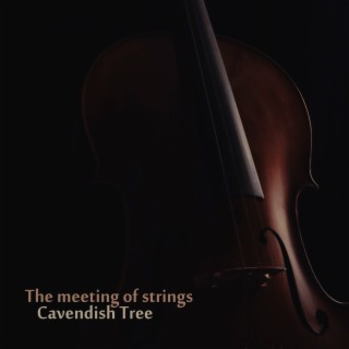 The Meeting of Strings