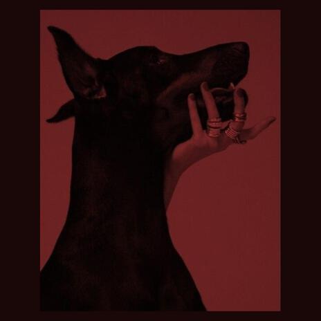 Rosie Rider | Boomplay Music