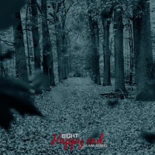 Happy End (Klaak Remix)
