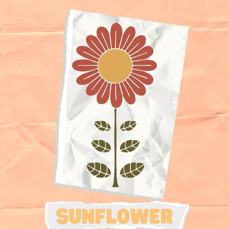 Sunflower | Boomplay Music