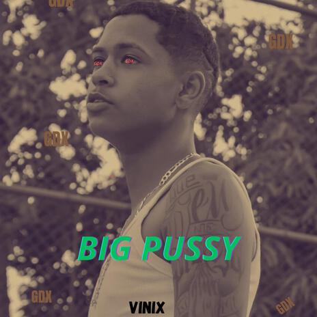 VINIX - BIG PUSSY (Special Version) | Boomplay Music