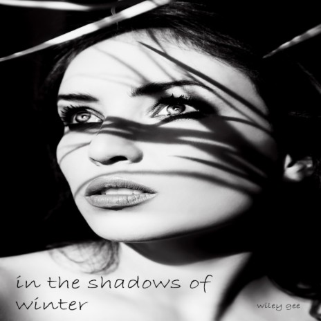 in the shadows of winter | Boomplay Music