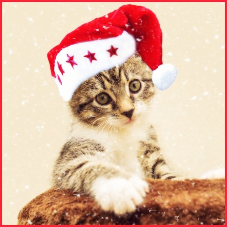 Jingle Bells ft. Music for Cats & Cats Music Zone
