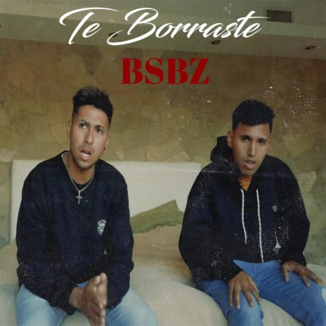 Te Borraste | Boomplay Music