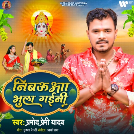 Nibaua Bhula Gaini | Boomplay Music