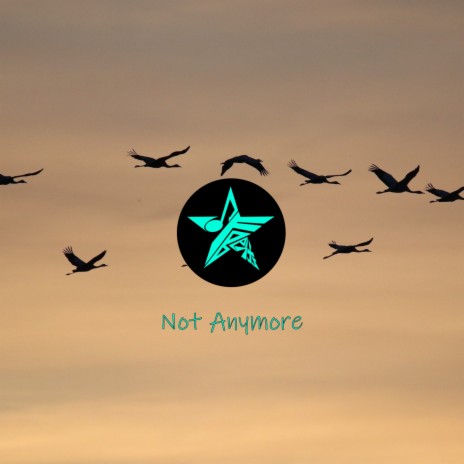 Not Anymore | Boomplay Music