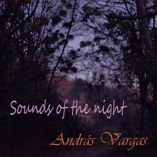 Sounds of the night