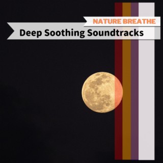 Deep Soothing Soundtracks