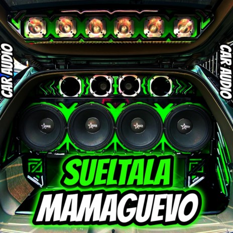 Sueltala Mamaguevo Car Audio