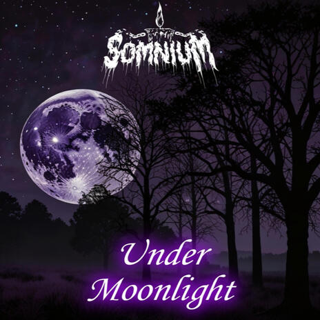 Under Moonlight | Boomplay Music