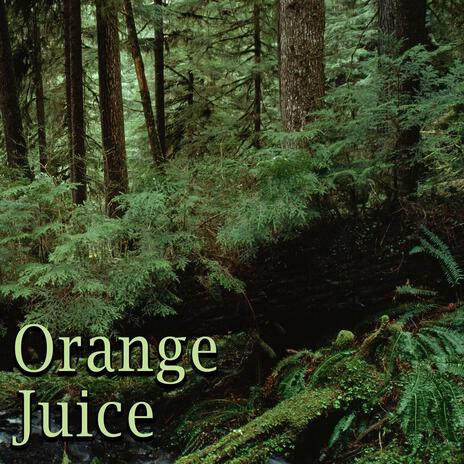 Orange Juice | Boomplay Music