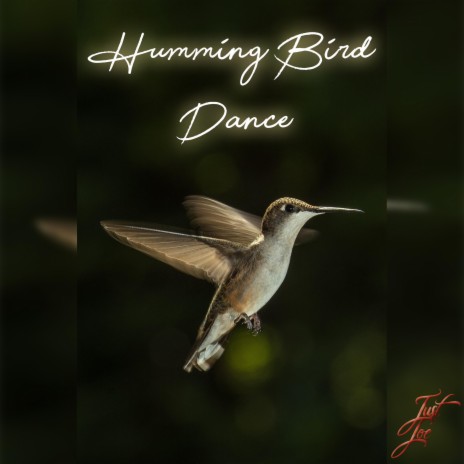 Humming Bird Dance