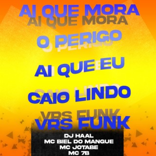 Ai que mora o perigo ai que eu caio lindo Vrs Funk