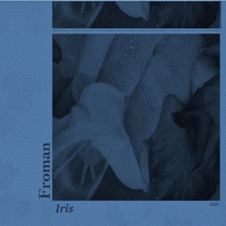 Iris | Boomplay Music