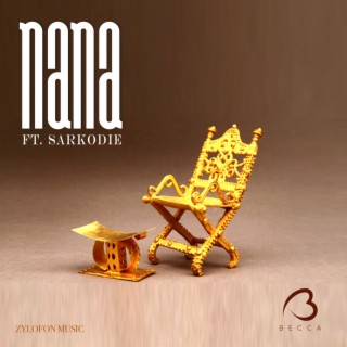 Nana ft. Sarkodie lyrics | Boomplay Music