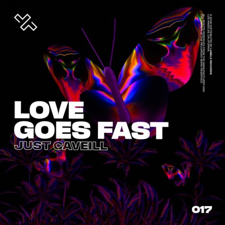 Love Goes Fast | Boomplay Music