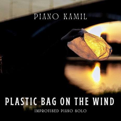 Plastic Bag On The Wind