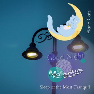 Good Night Melodies - Sleep of the Most Tranquil