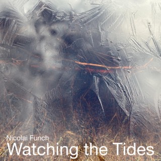 Watching the Tides