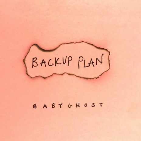 Backup Plan